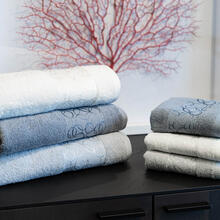 ASCIGAMANI 3+3 IN SCATOLA SPUGNA 450 GRAMMI MQ 