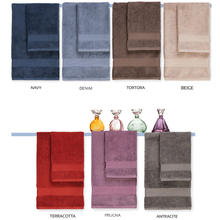 ASCIUGAMANI 1+1 60X100 CM OSPITE 40X60CM 