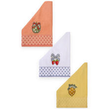 SET 3 STROFINACCI IN SPUGNA 