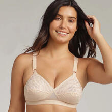 REGGISENO CLASSICO COPPA D CON SEMI IMBOTTITURA 