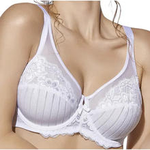 REGGISENO COPPA E 