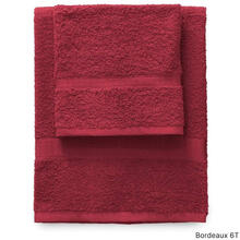 SET ASCIUGAMANO+OSPITE 1+1 SPUGNA 430 gr/mq 