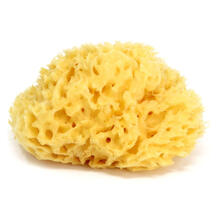 SPUGNA MARINA PASTICCINO MEDITERRANEA 