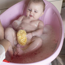 SPUGNA MARINA PASTICCINO MEDITERRANEA 