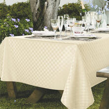 TOVAGLIA ANTIMACCHIA X 12 