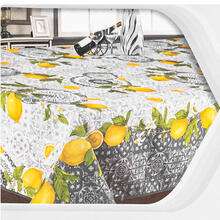 TOVAGLIA ANTIMACCHIA X 12 CM 140X240 STAMPATA 