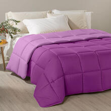 TRAPUNTA BICOLOR 1 PIAZZA MICROFIBRA CM 170X265 