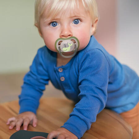 2-succhietti-ultra-air-6-18m-tartaruga-balena