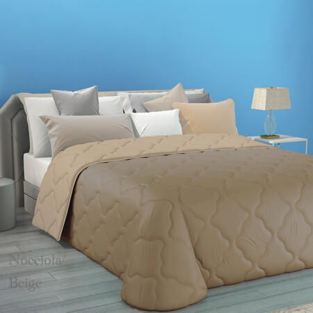 trapunta-1-piazza-microfibra-doubleface-cm-170x270